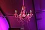 Wedding : Lillian King (Conservatory Of Flowers, San Francisco)